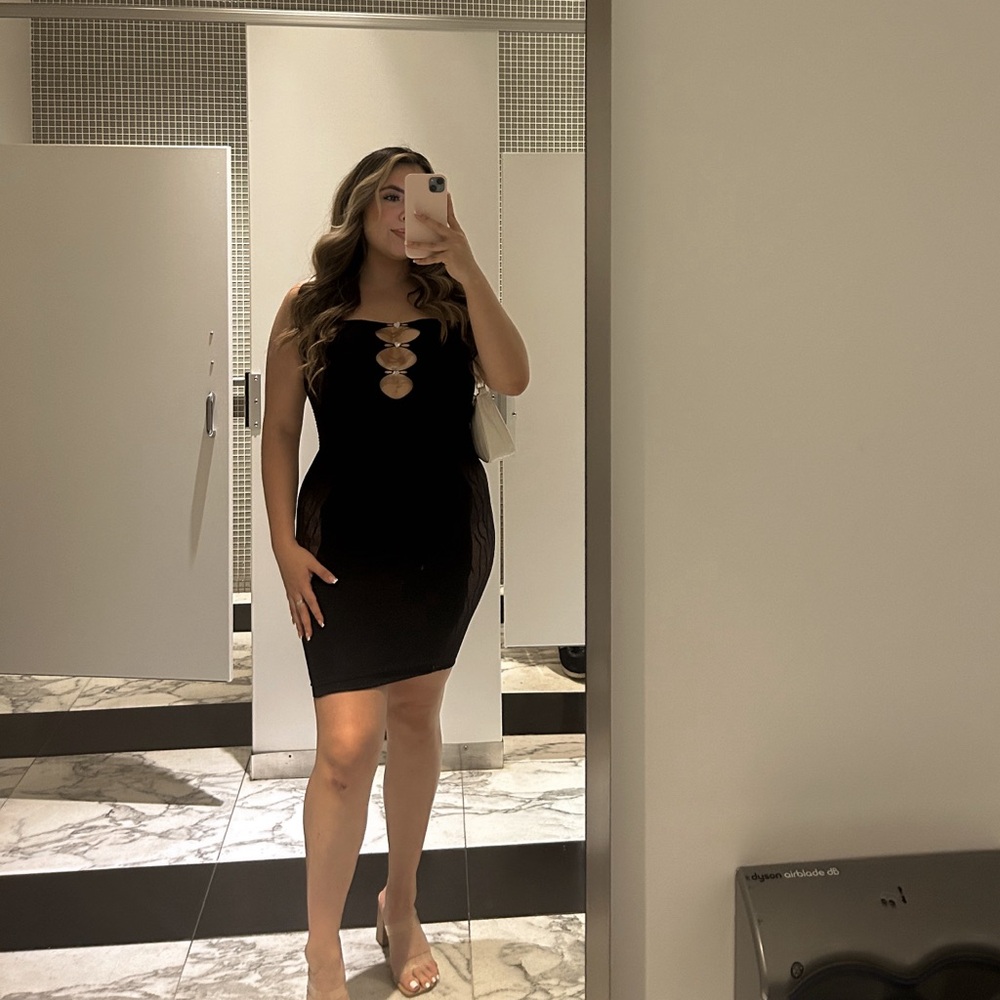 Fashion Nova Sheer Dress